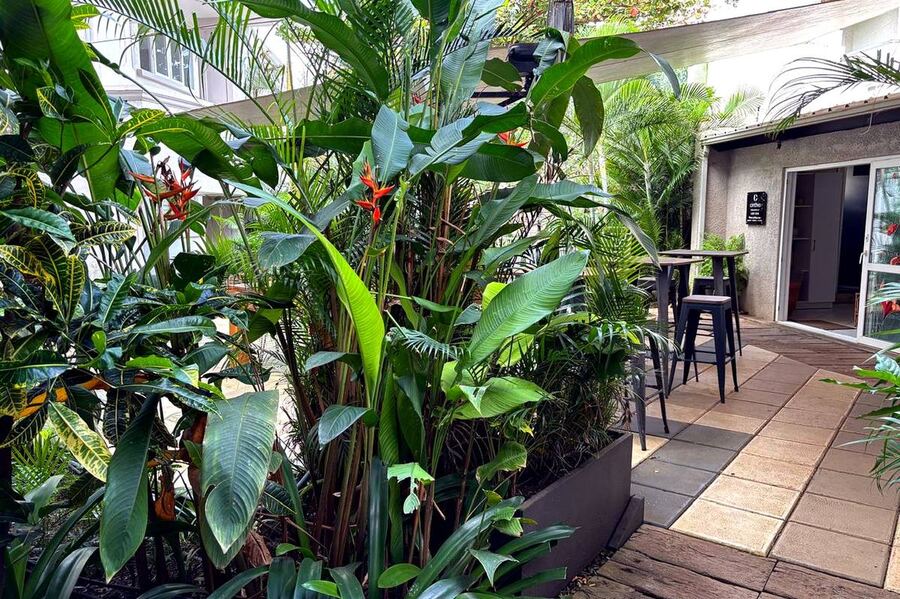 Tropical garden with bird of paradise plants at Grand Baie Business Park